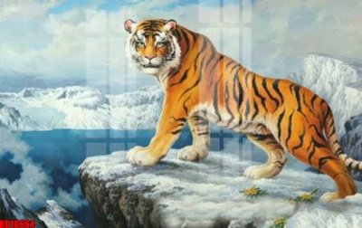 File gốc File tranh in décor tranh treo tường tổng hợp KD10664 (Filetranh.com) File tranh in décor tranh treo tường tổng hợp KD10664