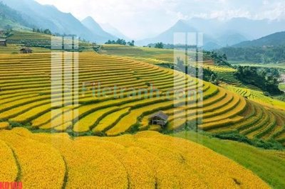 File tranh File gốc in tranh nền tường tổng hợp KD109 (gốc) chủ đề trẻ em