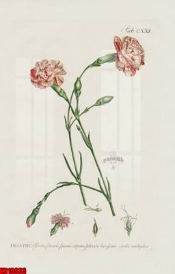 Tải file File tranh in décor tranh treo tường tổng hợp KD10933 (gốc) in ấn chất lượng