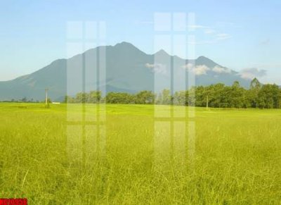 Tải file File tranh in décor tranh treo tường tổng hợp KD10956 (gốc) làm tranh trang trí