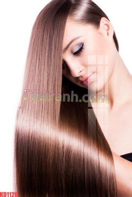 Tải file File gốc in tranh nền tường tổng hợp KD1120 (gốc) để in ấn ngay