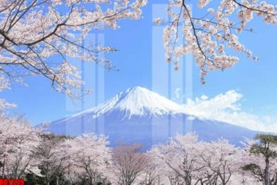 File gốc File tranh in décor tranh treo tường tổng hợp KD11219 (cho in ấn) độc quyền