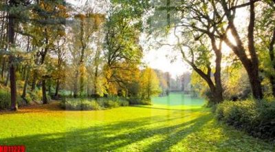 Tải về file tranh gốc File tranh in décor tranh treo tường tổng hợp KD11229 (để in quảng cáo)