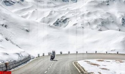 File PSD File tranh in décor tranh treo tường tổng hợp KD11252 (bản gốc) độ phân giải cao