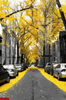 Tải file gốc File tranh in décor tranh treo tường tổng hợp KD11290 (in khổ lớn) quảng cáo