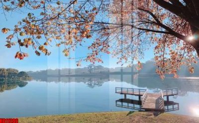 File gốc File tranh in décor tranh treo tường tổng hợp KD11296 (vector) cho in ấn