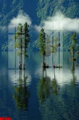 File gốc File tranh in décor tranh treo tường tổng hợp KD11303 (in lụa) tranh phong thủy