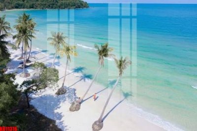 File ảnh File tranh in décor tranh treo tường tổng hợp KD11316 (gốc) cho trang trí nhà hàng