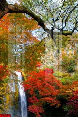 File tranh File tranh in décor tranh treo tường tổng hợp KD11552 (gốc) phong cách tối giản