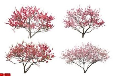 Ảnh gốc File tranh in décor tranh treo tường tổng hợp KD11553 (độ nét cao) in tráng gương