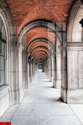 File tranh File tranh in décor tranh treo tường tổng hợp KD11557 (ảnh gốc) in trần nhà