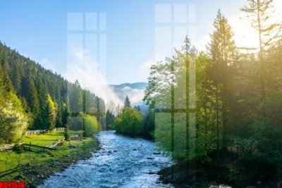 File ảnh File tranh in décor tranh treo tường tổng hợp KD11616 (gốc) in decal dán tường