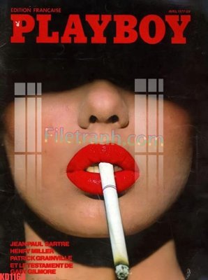 Tải file gốc File gốc in tranh nền tường tổng hợp KD1163 (in bạt) quảng cáo