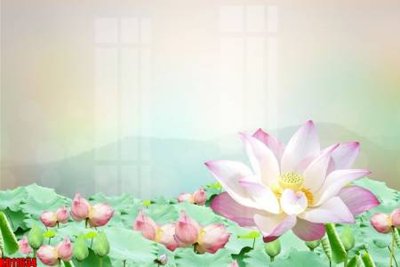 File tranh quảng cáo File tranh in décor tranh treo tường tổng hợp KD11634 (file gốc) chuyên nghiệp