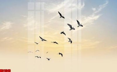 File gốc File tranh in décor tranh treo tường tổng hợp KD11643 (dành cho quảng cáo)