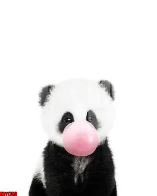 File ảnh File tranh in décor tranh treo tường tổng hợp KD11748 (gốc) in PP, decal