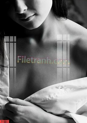 Tải file gốc in lụa File gốc in tranh nền tường tổng hợp KD118 siêu nét