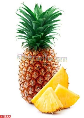 Mua file ảnh gốc File gốc in tranh nền tường tổng hợp KD1222 (chất lượng cao)