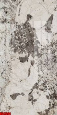 File in mica File tranh in décor tranh treo tường tổng hợp KD12294 (bản gốc) làm vách ngăn