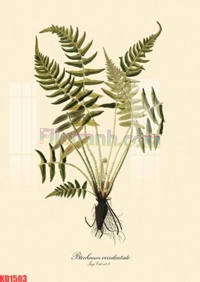 File tranh File gốc in tranh nền tường tổng hợp KD1503 (bản gốc) treo phòng ăn