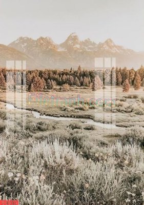 File in trần File gốc in tranh nền tường tổng hợp KD1519 (file gốc) hoa văn 3D