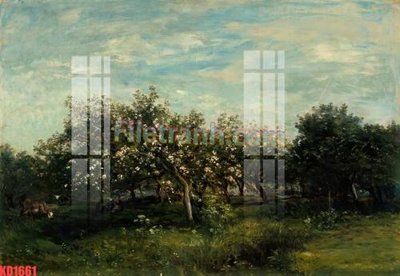 File ảnh gốc File gốc in tranh nền tường tổng hợp KD1661 (chuyên in mica)