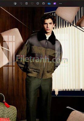 File tranh File gốc in tranh nền tường tổng hợp KD183 (gốc) in film