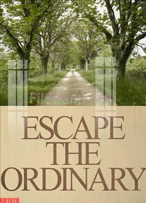 Download file gốc File gốc in tranh nền tường tổng hợp KD1928 (in lụa) hoa lá