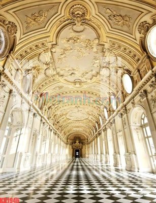 File in trần File gốc in tranh nền tường tổng hợp KD1946 (bản gốc) đại dương