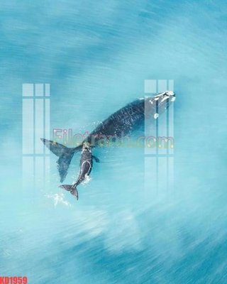 File gốc File gốc in tranh nền tường tổng hợp KD1959 (cho in ấn) độc quyền