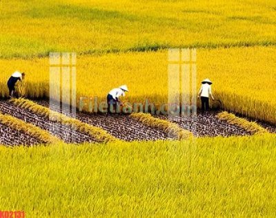 Download file tranh File gốc in tranh nền tường tổng hợp KD2131 (file gốc PSD)