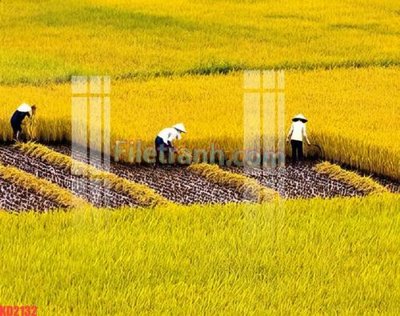 File ảnh File gốc in tranh nền tường tổng hợp KD2132 (gốc) cho trang trí nội thất