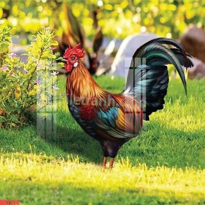 File tranh File gốc in tranh nền tường tổng hợp KD2144 (gốc) in film