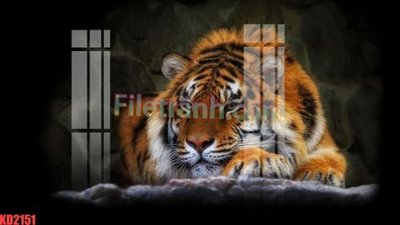 File gốc File gốc in tranh nền tường tổng hợp KD2151 (ảnh chi tiết) để in lụa