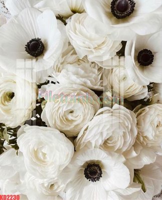 File in ấn File gốc in tranh nền tường tổng hợp KD2230 (bản gốc) từ file gốc