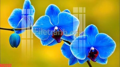 Download file File gốc in tranh nền tường tổng hợp KD2232 (gốc) in mica đèn LED