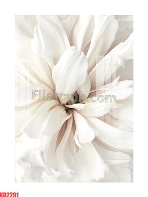 File PSD File gốc in tranh nền tường tổng hợp KD2291 (bản gốc) cho nhà in