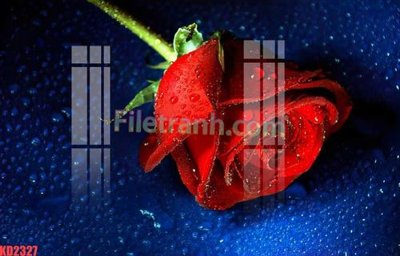 File gốc File gốc in tranh nền tường tổng hợp KD2327 (dành cho trang trí nội thất)