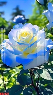 File tranh File gốc in tranh nền tường tổng hợp KD2431 (gốc) chủ đề trẻ em