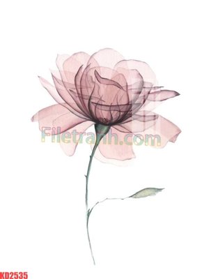 File gốc File gốc in tranh nền tường tổng hợp KD2535 (chuẩn màu) cho in offset