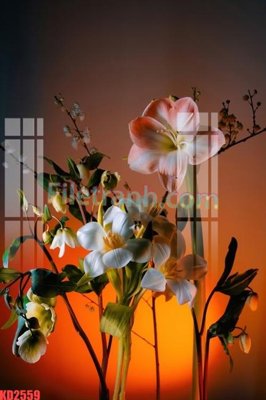 File gốc File gốc in tranh nền tường tổng hợp KD2559 (PNG) không nền chất lượng