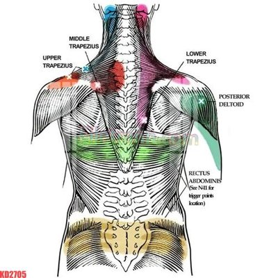 Cung cấp file tranh gốc File gốc in tranh nền tường tổng hợp KD2705 độc quyền