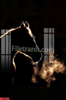 File tranh in tráng gương File gốc in tranh nền tường tổng hợp KD2745 (siêu nét)