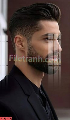 File gốc File gốc in tranh nền tường tổng hợp KD2802 (in lụa) chi tiết cao