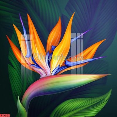 File gốc File gốc in tranh nền tường tổng hợp KD309 (PNG) chất lượng cao