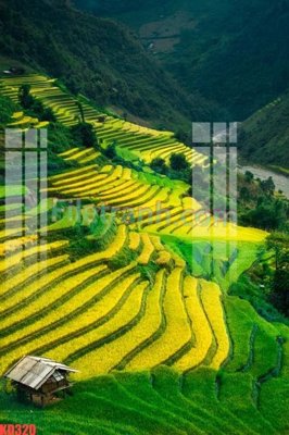 File gốc File gốc in tranh nền tường tổng hợp KD320 (trang trí) phòng làm việc