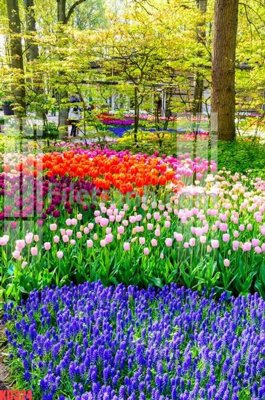 Download file File gốc in tranh nền tường tổng hợp KD324 (gốc) in mica ốp bếp