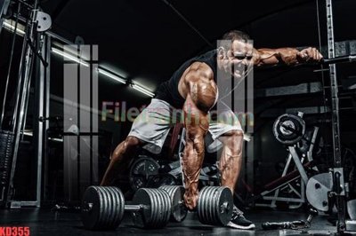 File in trần File gốc in tranh nền tường tổng hợp KD355 (bản gốc) hoa văn