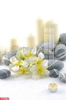 File gốc File gốc in tranh nền tường tổng hợp KD3775 (chuẩn CMYK) cho nhà in