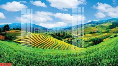 Hình ảnh gốc File gốc in tranh nền tường tổng hợp KD3788 (để in khổ lớn)